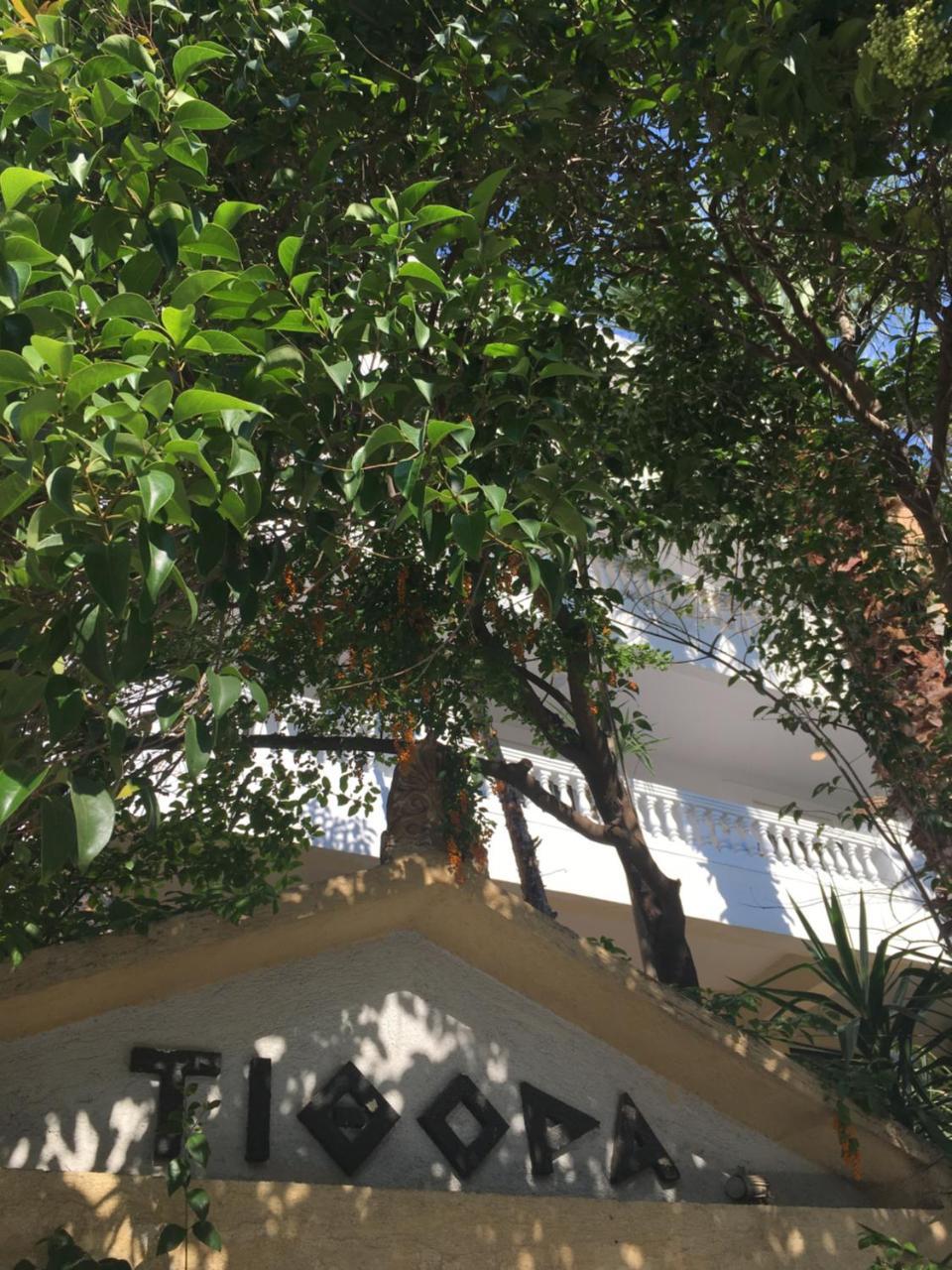 Tithora Athens Hostel Εξωτερικό φωτογραφία